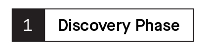 Subheader that says Discovery Phase 